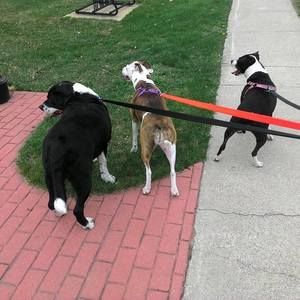 Meet your Posher, Micaela